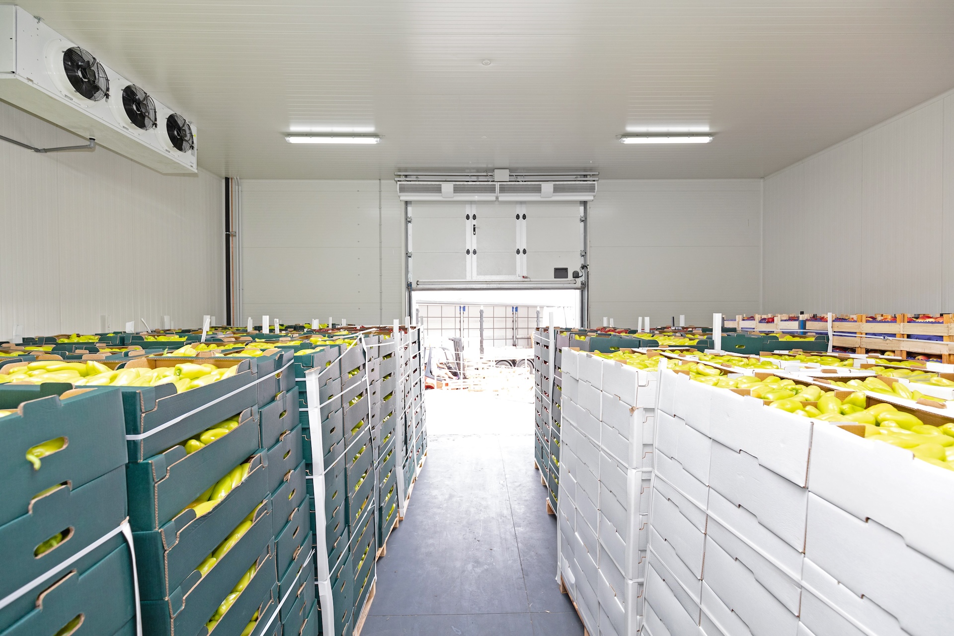 limpieza en industria alimentaria